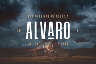 Alvaro Duo: A Font That Elevates Branding for Small Businesses