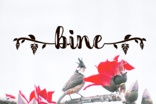 Bine: A Handwritten Font That Adds Soul to Branding