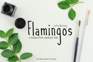 Flamingos: The Script Font That Elevates Your Design Game