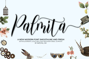 Palmita: The Perfect Font for Elevating Your Brand’s Visual Identity