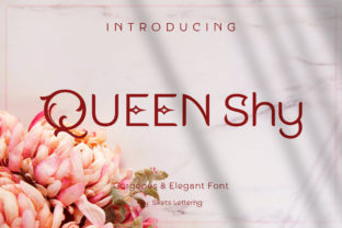 Queen Shy: The Font That Elevates Every Campaign