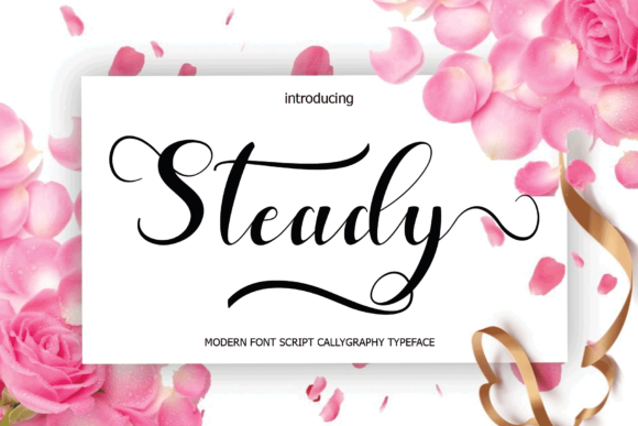 Steady: The Elegant Script Font for Web Design and Branding