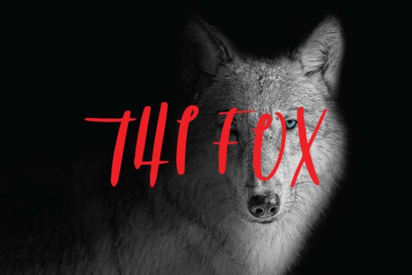 The Fox Script Font: A Bold Choice for Creative Designers